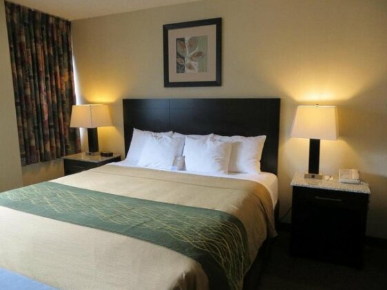 Comfort Inn & Suites Downtown Edmonton - Photo4