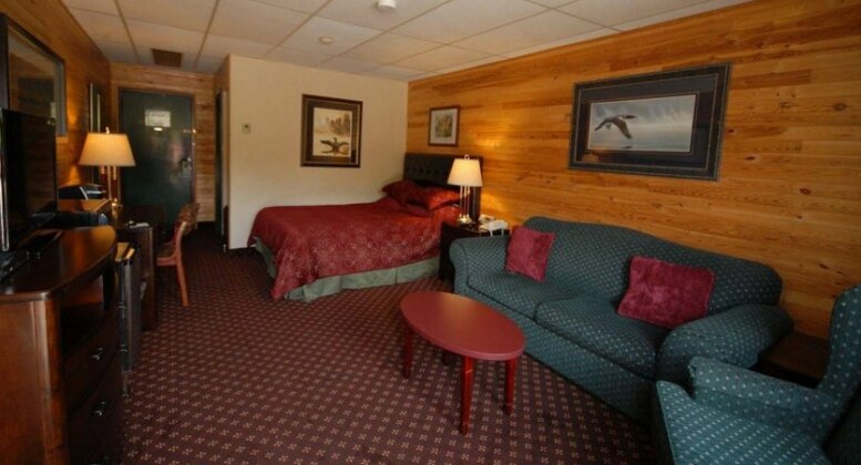 Pinewood Motor Inn - Photo3
