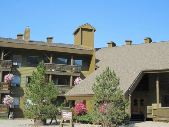 Griz Inn Fernie