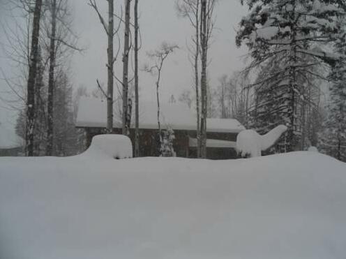 Twisted Timber Guest House - Photo2