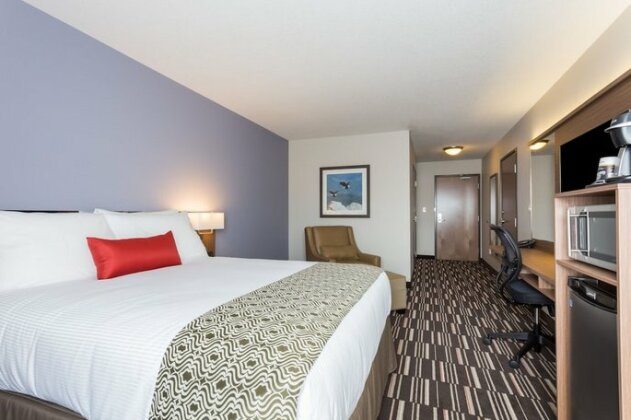 Microtel Inn & Suites by Wyndham Fort Saint John - Photo3