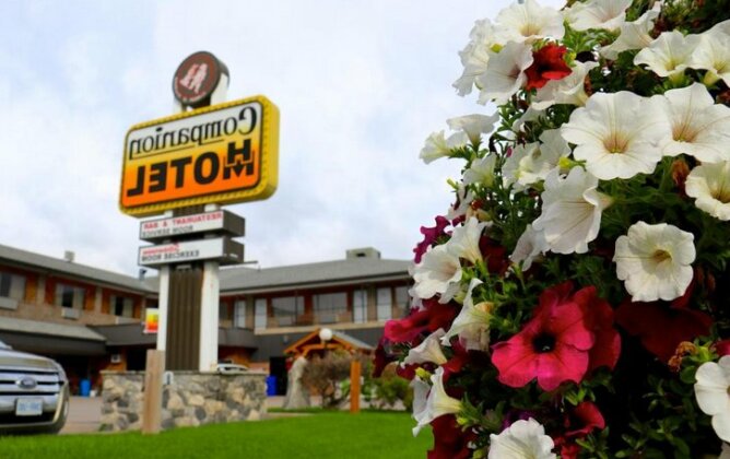 Companion Hotel Motel - Photo2