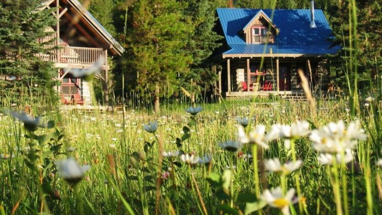 Nipika Mountain Resort - Photo2