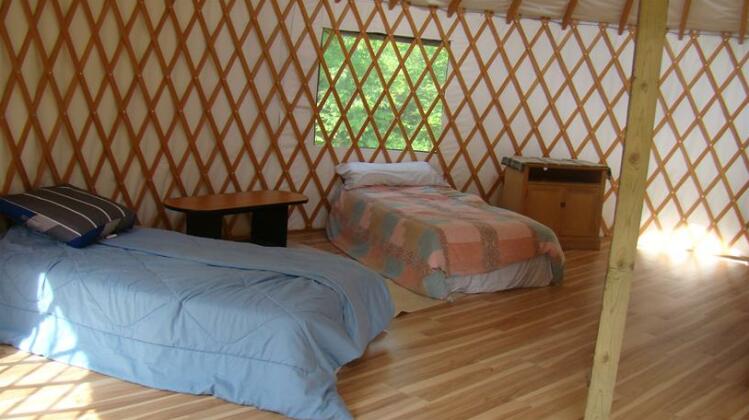 Ecofiest Yurts & Sauna - Photo2