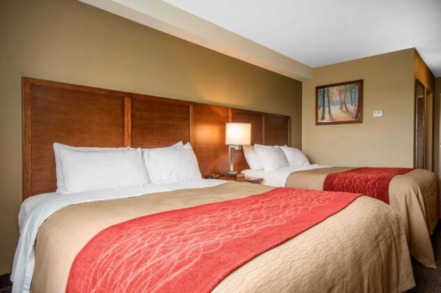 Comfort Inn & Suites Langley - Photo4