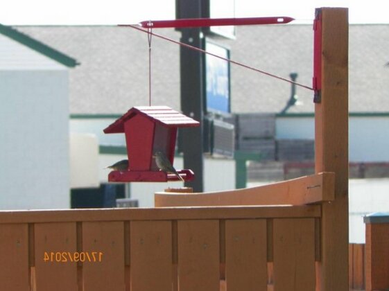 Sunparlor Motel - Photo3