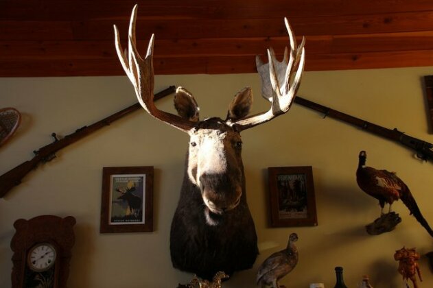 Montana Hill Guest Ranch - Photo3