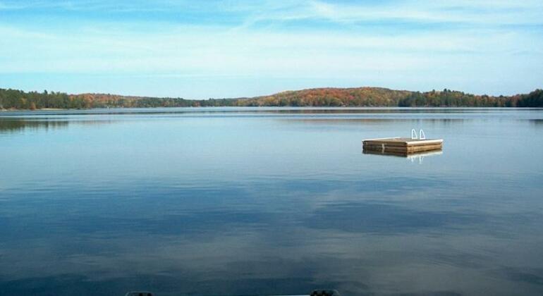 12 Mile Lake Bed And Breakfast - Photo2