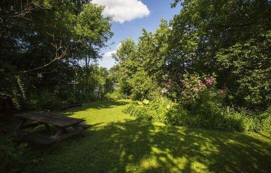 Niagara Heritage Cottage in a Forest - Photo4