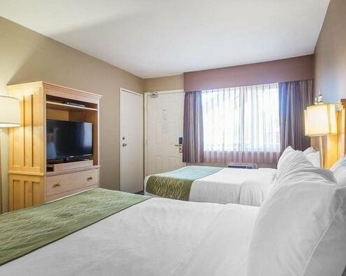 Econo Lodge Inn & Suites - North Vancouver - Photo3