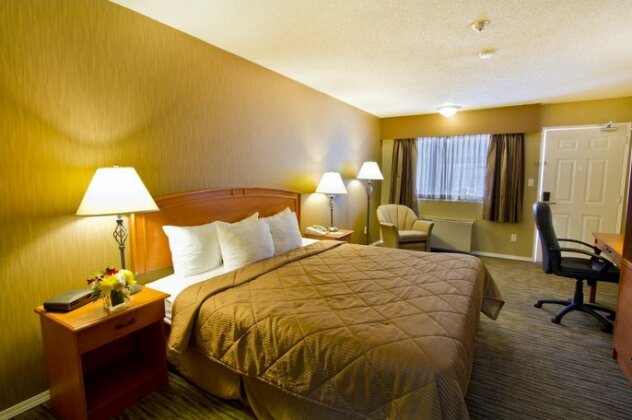 Econo Lodge Inn & Suites - North Vancouver - Photo5