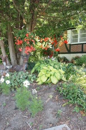 Burley's Executive Garden Suite - Photo4