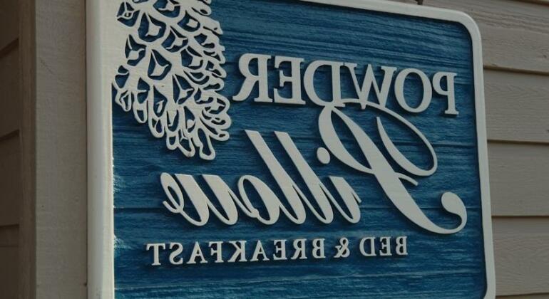 Powder Pillow Bed & Breakfast - Photo2