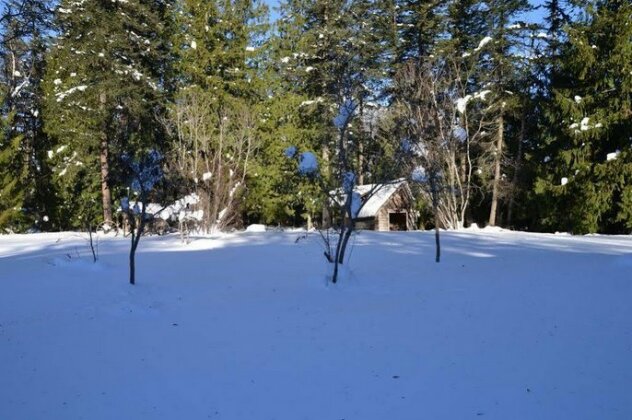 The Pines Bed & Breakfast - Photo3