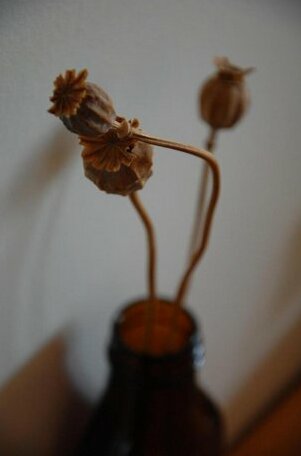 Le Perchoir - Photo3