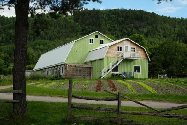 Jardin Potager