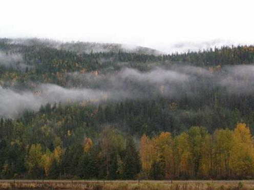 Monashee Motel - Photo3