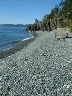 Orca View Cottage - Photo4