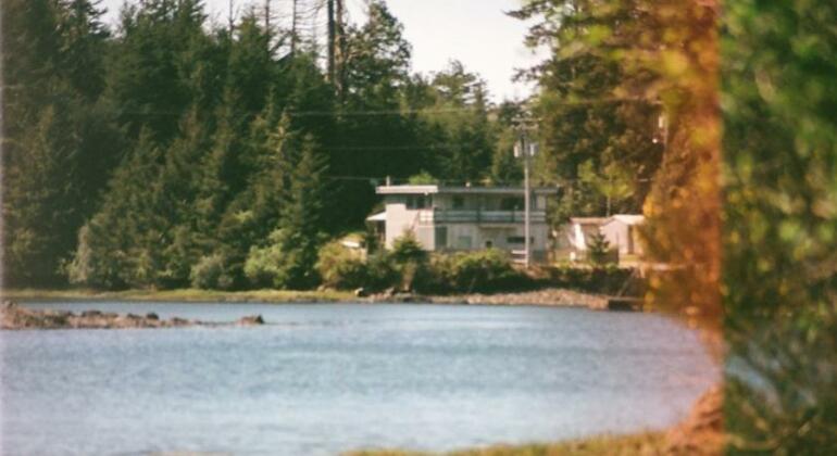 Spring Cove Cabins