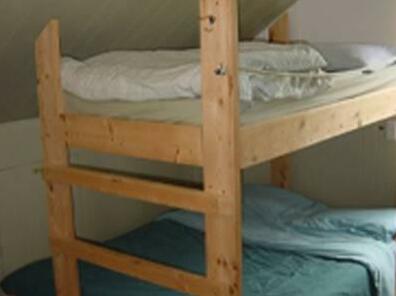 Surfs Inn Rainforest Cottages - Photo3