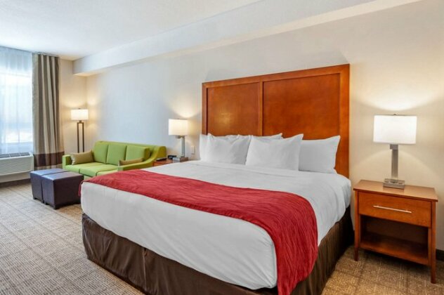 Comfort Inn & Suites Valemount - Photo5