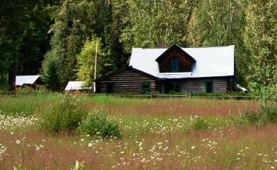Mount Robson Heritage Cabins - Photo2
