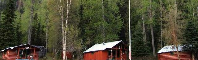 Mount Robson Heritage Cabins - Photo5