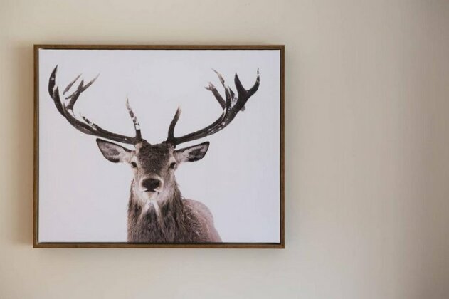 Deer Lodge 346 by ZenAway - Photo2