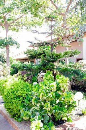 Mukuba House - Photo3