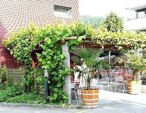 Gasthof Pizzeria Weingarten - Photo4