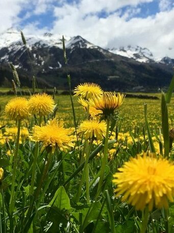 B&B Gottardo - Photo4