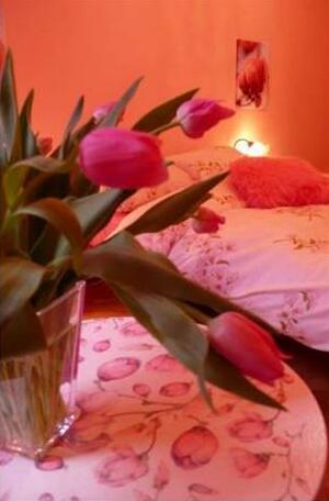 B&B La Vie en Rose - Photo2