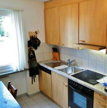 Loga Apartments in St Moritz - Photo2