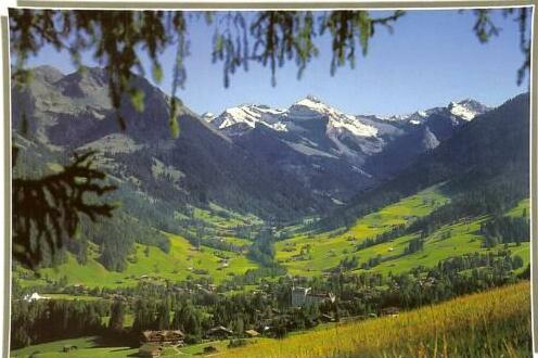 Alpenchalet Weidhaus Ferienwohnung & Zimmer - Photo3