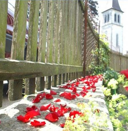 Ringmauer - Photo3