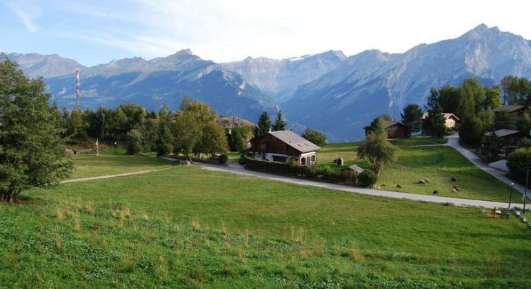 Residence Les Muverans - Photo5