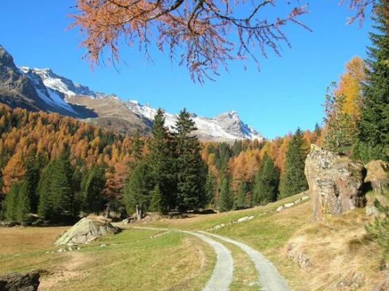 Dormitorio Selva Poschiavo - Photo3