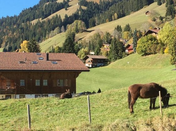 Studio chalet du Bonheur - Photo3