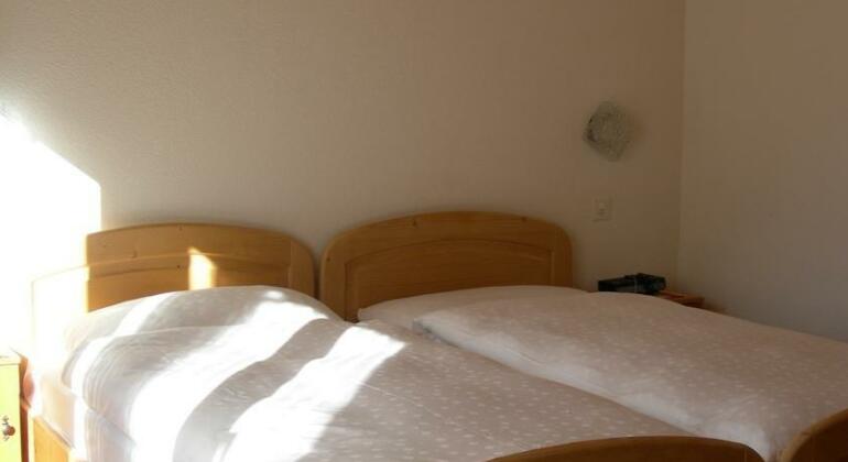 Hotel Adler Saas-Fee - Photo3