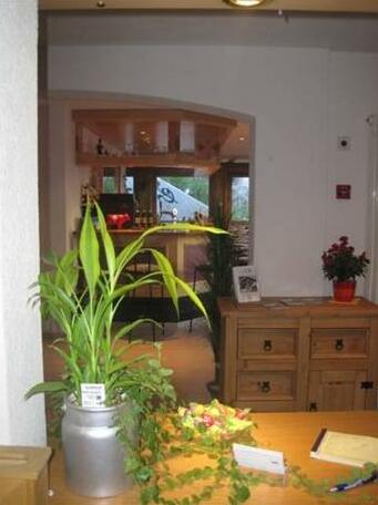 Hotel Carpe Diem Saas-Fee - Photo4