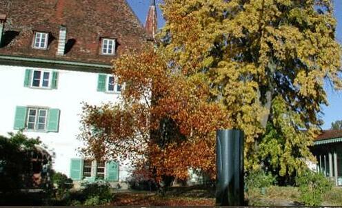 Schloss Uberstorf - Photo3