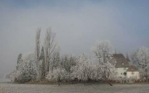 Schloss Uberstorf - Photo4