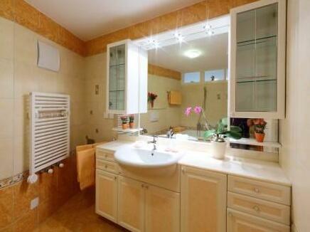 Haus Orta - Photo5