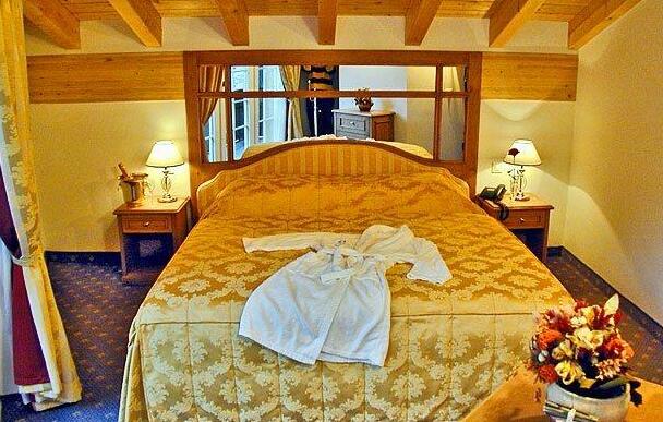 Hotel Albatros Zermatt - Photo5