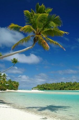 Moana Villa Aitutaki - Photo4