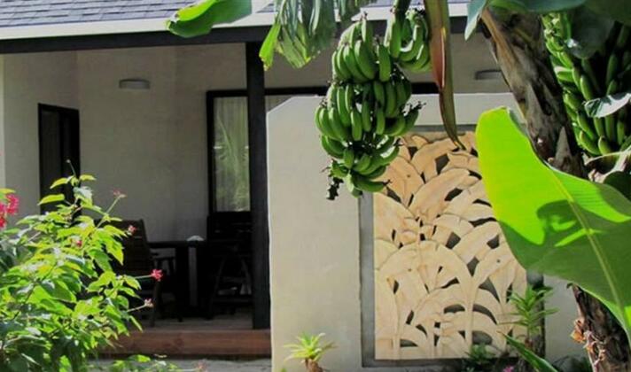 Muri Beach Resort - Photo3