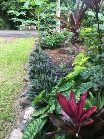 The Hunter Valley Holiday Home - Photo4