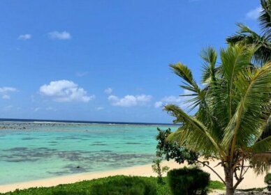 Beachfront Apartments at Rarotonga