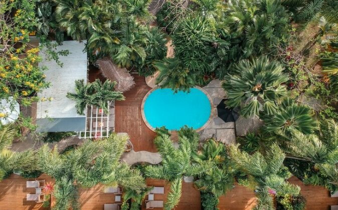 Rarotonga Daydreamer Resort