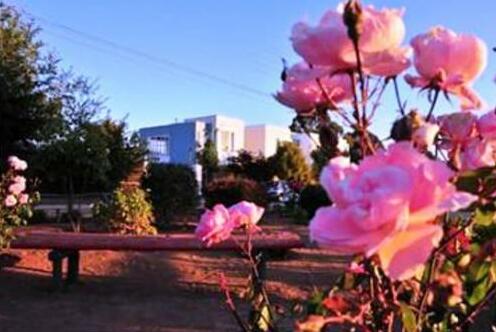 Aparthotel & Spa Algarrobo - Photo3